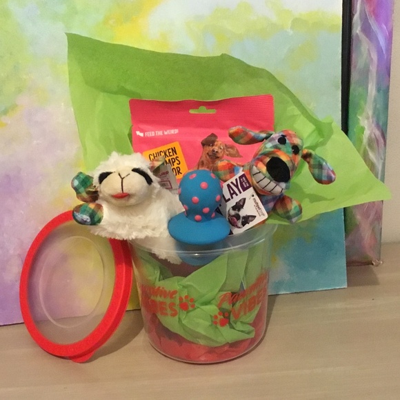 Toys and Treats for a small dog - Picture 1 of 3